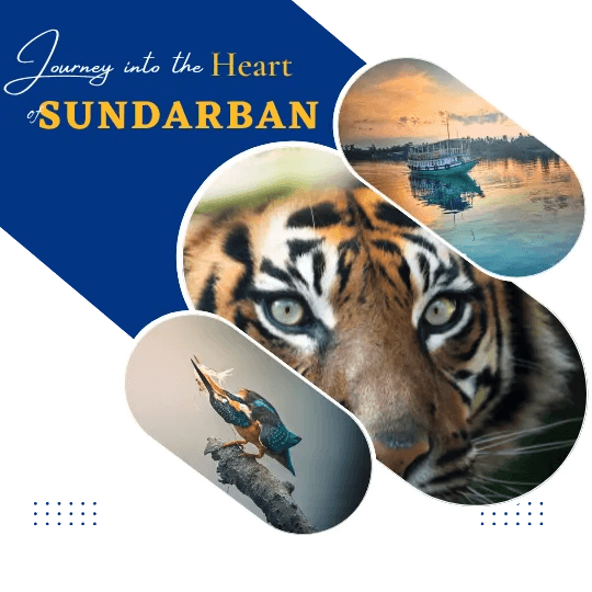 Scenic view of Sundarban during the best visiting season